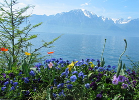 2006 05-Montreux Lake View